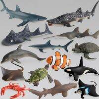 [AhQ ornaments] มหาสมุทร Sea Life จำลองสัตว์รุ่นชุดฉลามปลาวาฬเต่าปูปลาโลมาการกระทำของเล่นตัวเลขเด็กการศึกษาของที่ระลึกคอลเลกชัน