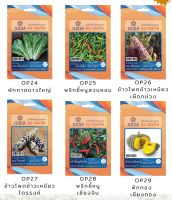 เมล็ดพันธ์ุผักสวนครัว ชุด3 (หมดอายุปี 2567) ถุงซิบล๊อค   เมล็ดพันธุ์ เมล็ดผัก เมล็ดพันธุ์ผัก เมล็ดดอกไม้ เมล็ดพันธุ์ดอกไม้ เมล็ดผักสวนครั
