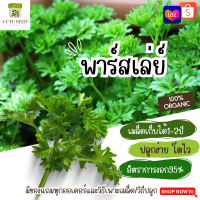 เมล็ดพันธุ์พาสลีย์ 30 เมล็ด อัตราการงอก95% ปลูกง่าย โตไว (มีของแถมเป็นเมล็ดผักกวางตุ้งทุกออเดอร์)