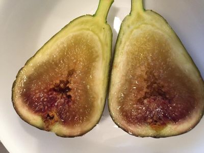 10 เมล็ด เมล็ดมะเดื่อฝรั่ง Figs สายพันธุ์ Bayer Violeta ของแท้ 100% มะเดื่อฝรั่ง หรือ ลูกฟิก (Fig) อัตรางอก 70-80% Figs seeds มีคู่มือวิธีปลูก