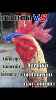 นวมไก่ชน นวมมัดปากไก่ชนสำหรับลงนวมมัดปากไก่ชนทำจากยางพาราคารับประกันคุณภาพจากผู้ใช้จริงมากกว่า 1 ล้านคนในประเทศซุ้มใหญ่ใช้กันเยอะ