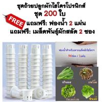 ส่งไว!!ขายถูก!! ถ้วยปลูกผักไฮโดรโปรนิกส์ ชุด 200ใบ +ฟองน้ำ 2แผ่น ฟรีเมล็ดผักสลัด 2ซอง   ถ้วยปลูกผักสลัด ถ้วยปลูกหนา ใช้ซ้ำได้หลายครั้ง