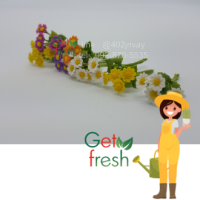 Get Fresh ดอกไม้ดินปั้น 10 ต้น ,ดอกไม้จิ๋ว ,ดอกเดซี่ ,  Miniature Clay Flower , Fake Flower ,  ขนาดวัดด้วยมือประมาณ 2.5 x 6 cm  เกรดสวยงานละเอียด