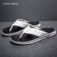 Golden Sapling Leisure Flip Flops Mens Slippers Genuine Leather Flats Casual Shoes for Men Fashion Party Slides Beach Footwear