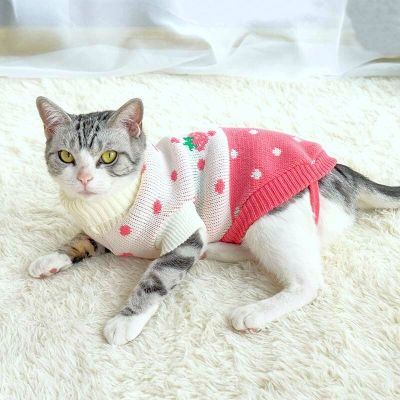 ฤดูใบไม้ร่วงฤดูหนาวเสื้อผ้าสำหรับแมวมาสคอต Katten เสื้อโค้ตกันหนาวสำหรับสุนัขเสื้อผ้าสำหรับแมวสำหรับลูกสุนัขชิวาวาปั๊กบูลด็อกฝรั่งเศส