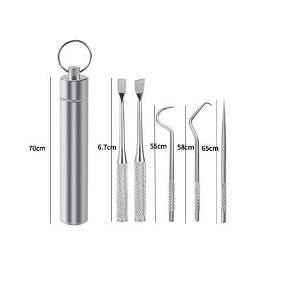 ‘；【。- Portable Dental Tools Set Flossing Tooth Picking Tool 430 Stainless Steel Spiral Ear Pick Spoon Kit Oral Hygiene Tartar Removal