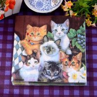 10pcs 33/25cm Cat Theme Paper Napkins Serviettes Decoupage Decorated for Wedding Party Virgin Wood Tissues Birthday Decoration