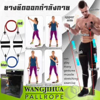 ยางยืดฟิตเนส แอโรบิค ยางยืดออกกำลังกาย บริหารกล้ามเนื้อ Wangjihua pallrope