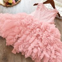 Baby Girl Party Dress Lace Princess Tutu Cake Smash Birthday Wedding Dress Girls Clothes