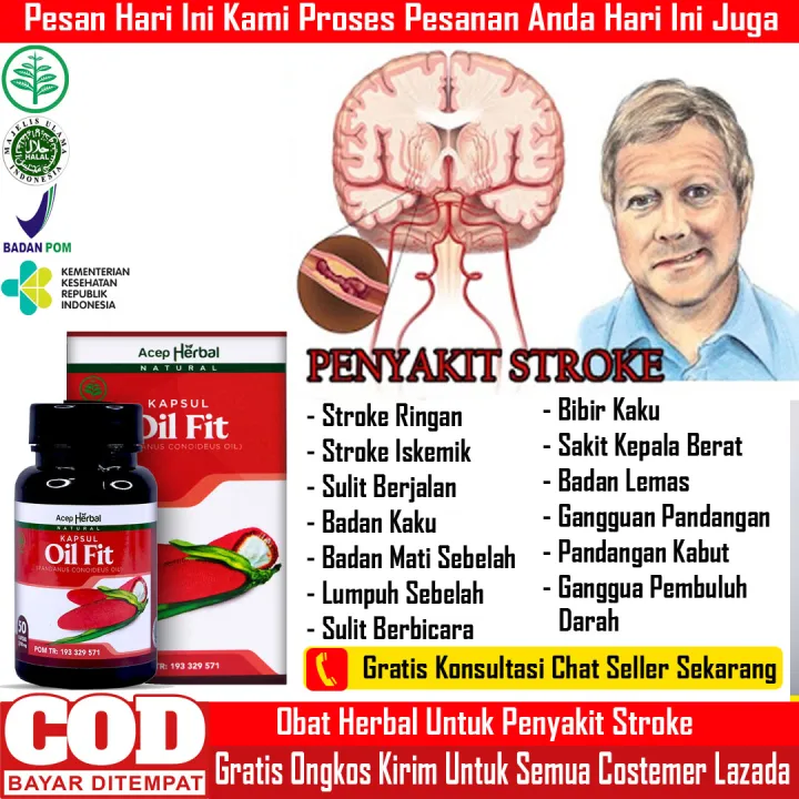 Obat Stroke Mati Rasa Badan Lumpuh Sebelah Sulit Berbicara Bibir Kaku ...