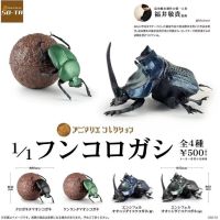 【CW】Original SO-TA Gashapon Capsule Toys 1/1 Dung Beetle Dorbeetle Figurine Action Figure Gachapon Models