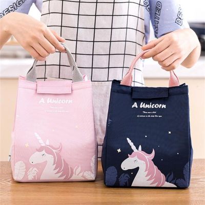 Insulated Portable Lunch Box Bag Portable Work Lunchbox Cooler Capacity Bag Large Insulation Storage Box Kitchen Accessories