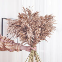 【Cw】 Dried Flowers Pampas Grass Flores Artificial Flowers Fake Wedding decoration Natural Artificial Flowers Christmas Home Decor