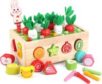 Montessori Toys for Baby Boys Girls1 2 3 4Year Wooden Puzzle Carrot Harvest Toy Game Shape Sorting Educational Toys for Children