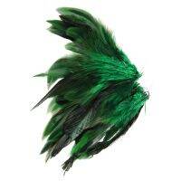 Approx. 200Pcs Dyed Decoration Rooster Cock Feather Green