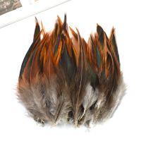 20Pcs Pheasant Feathers Crafts Jewelry Making Needlework Handicraft Accessories Catcher Small Plumes