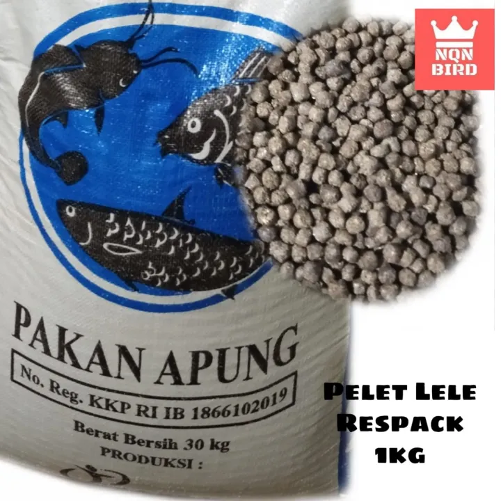 makanan ikan keli cepat besar