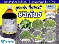 ชาเล้นจ์ บิวทาคลอร์35%+โพรพานิล 35%  ยาคุมหญ้าหรือฆ่าหญ้าในนาข้าว ใบแคบ ใบกว้างและกก อายุไม่เกิน1เดือน ขนาด 1ลิตร