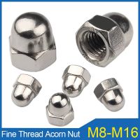 2/10PCS M8 M10 M12 M14 M16 Fine Thread Acorn Nut 304 Stainless Steel Decorative Cap Nuts Covers Hex Dome Acorn Nuts