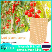 【ในสต็อก】ไฟ LED เติบโตเต็มสเปกตรัมเรือนกระจกสวนพืชไฮโดรโปนิกส์เติบโตแสงต้นกล้าดอกไม้ 81/169 LED