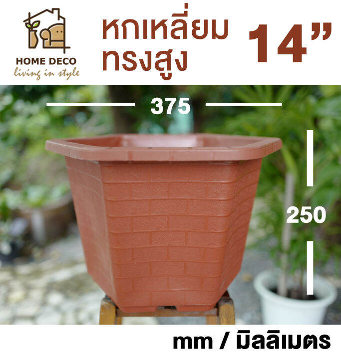 กระถางบอนไซ-หกเหลี่ยม-กระถางต้นไม้พลาสติก-กระถางสไตล์จีน-hexagon-plant-pot-bonsai-hexagon-pot