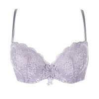 Annebra บราเสริมทรง ตะขอหลัง คอวี มีโครง เสริมฟองน้ำ Push up Mold bra V Neck รุ่น AB1-521 สีฟ้าเทา , สีม่วงเทา