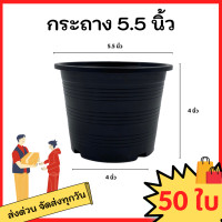 กระถางต้นไม้พลาสติก กระถาง กระถางต้นไม้ 5.5 นิ้ว สีดำ สีขาว กระถางดำ 50 ใบ