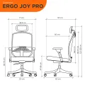 Ergotrend เก้าอี้เพื่อสุขภาพเออร์โกเทรน รุ่น ERGO JOY PRO. 