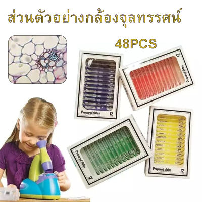 กล้องจุลทรรศน์สไลด์พลาสติก 48 ชิ้น ตัวอย่างทางชีวภาพ กล่อง 4 กล่องของเด็กและนักเรียนตรัสรู้การศึกษา