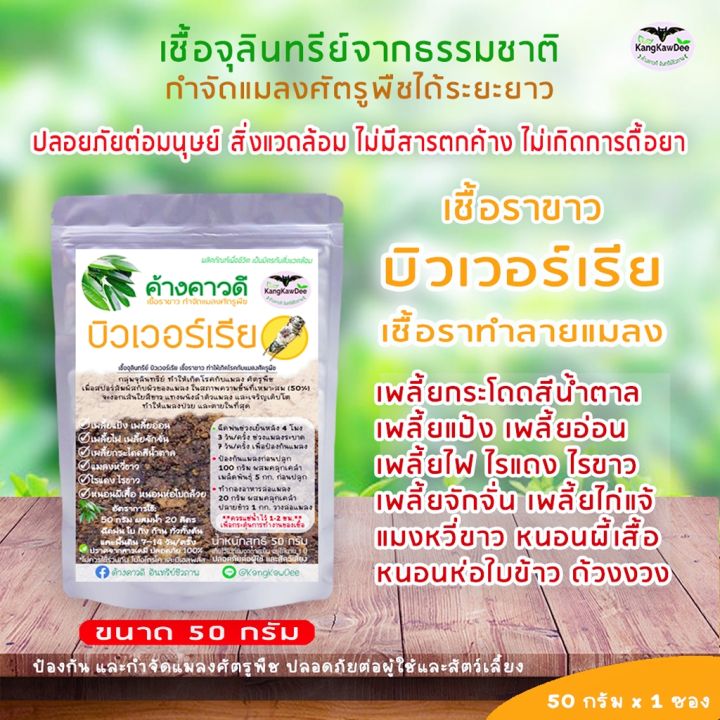 ปุ๋ยฟื้นบำรุงต้นใบ-ไม้ใบ-ไม้ด่าง-ไม้ฟอกอากาศ-ไม้ประดับไม้ดอก-ใบเหลือง-ใบไหม้-ใบเล็ก-ต้นไม่โต-รากเน่า-ปุ๋ยค้างคาวดี-เร่งราก-เร่งต้นใบ