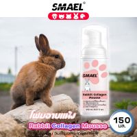 smael mall Rabbit Collagen Mousse แชมพูอาบแห้ง โฟมอาบแห้ง สูตรอ่อนโยน ไม่ระคายเคือง สำหรับกระต่าย แฮมเตอร์ สัตว์เลี้ยงเล็ก (150 มล./ขวด) Foam Shampoo S005 FHA