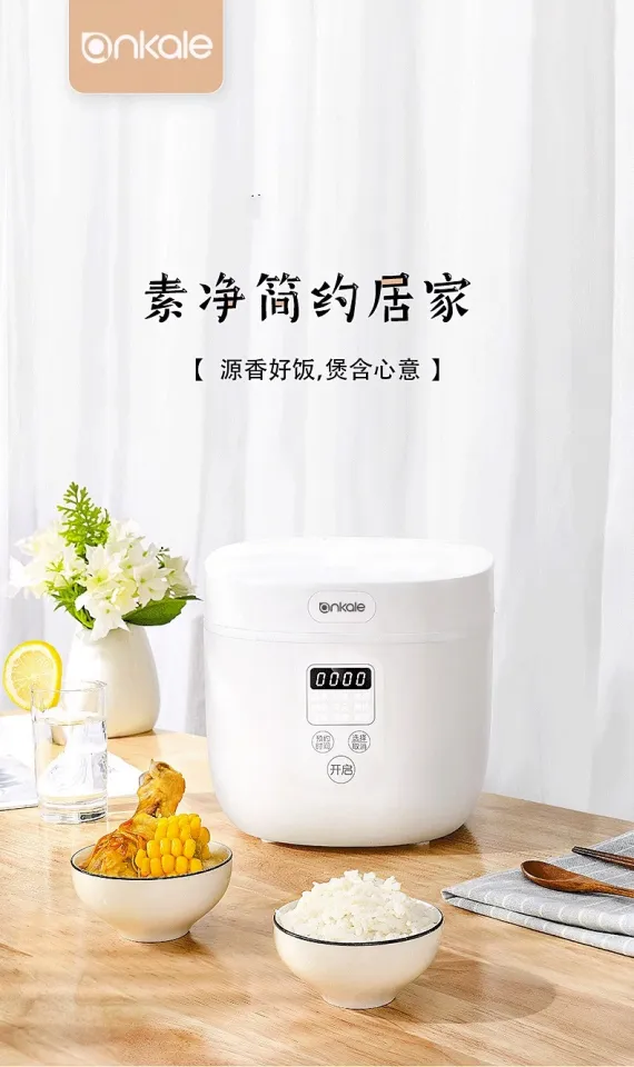 mini rice cooker for one person