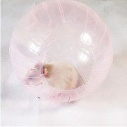 Mã LIFE0503TOYS giảm 10% đơn 0Đ Bóng chạy bộ thể dục cho chuột Hamster