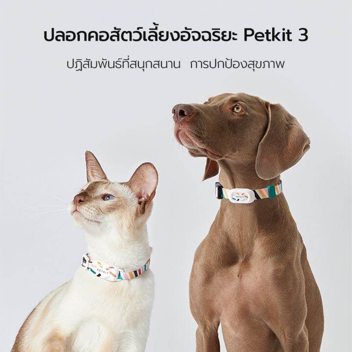 petkit-ปลอกคอสัตว์เลี้ยง-บลูทูธ-อัจฉริยะ-ตรวจสอบการนอนหลับ-พักข้อมูล-พร้อมเสียงเรียกเข้า-สําหรับสัตว์เลี้ยง-สุนัข-และแมว-ขนาดเล็ก-ขนาดกลาง