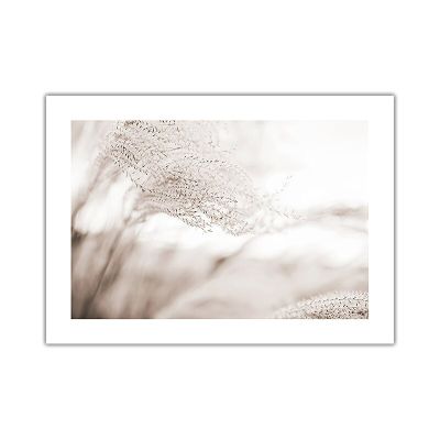 ภาพโปสเตอร์นอร์ดิกรูปดอกไม้ต้นไม้ธรรมชาติผ้าใบวาดภาพภาพแอบสแตรกต์รูปโปสเตอร์0717 69F พฤกษศาสตร์