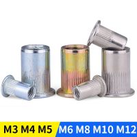 Zinc Plated Cap Rivet Threaded Nut Stainless Steel Knurled Rivnut Flat Head Rivet Nuts M3 M4 M5 M6 M8 M10 M12