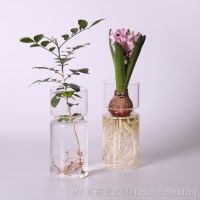 【hot】✿▲✵ Hyacinth Vase Pot Terrarium Decoration