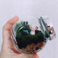 สวนขวด 1แถม1 ชุด DIY Terrarium Set จัดสวนขวดง่ายๆ ดูแลง่าย ไม่ต้องรดน้ำ (ตุ๊กตาคละแบบ)