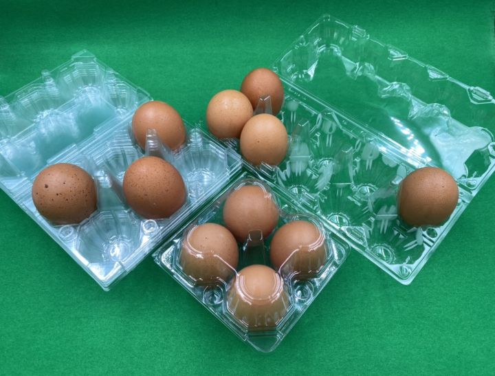 กล่องใส่ไข่-แบบใส-6-ฟอง-เบอร์-l-จำนวน-50-ชิ้น-ใส่ไข่เบอร์-2-3-4-มีปุ่มล็อคในตัว