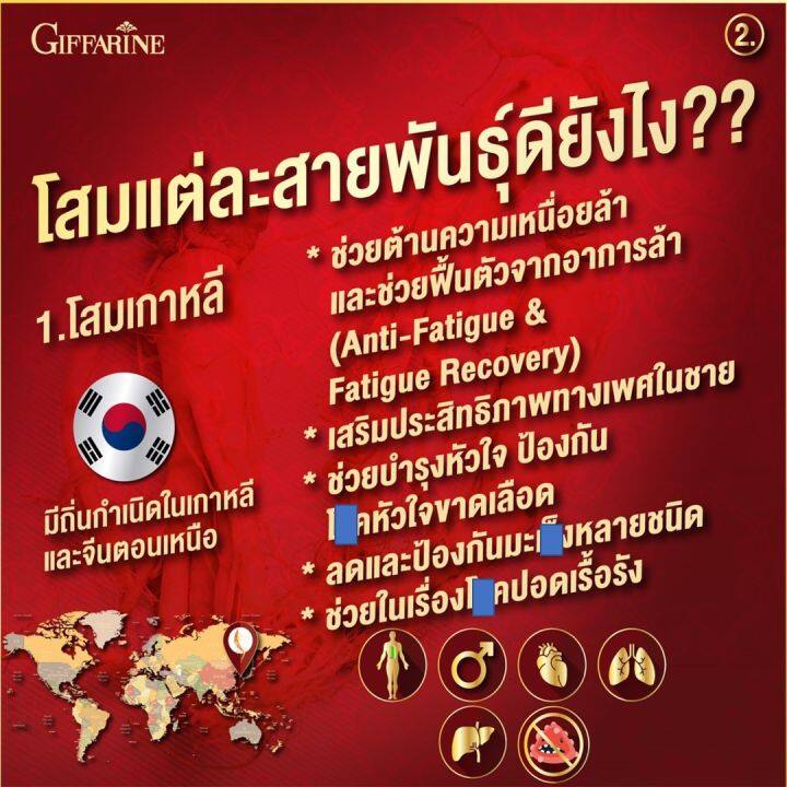 โสม-โสมแดง-ทรีจี-จินเส็ง-จินเซ็ง-3g-กิฟฟารีน-สกัดจากโสมแดงเกาหลี-ginseng-giffarine