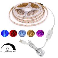 Dimmable USB LED Strip Lights 5V 60LEDs/m 2835 Flexible Lamp Tape For TV Backlight Room Kitchen Lighting Lamp 1M 2M 3M 4M 5M LED Strip Lighting