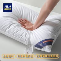 Hailan House Hotel Pillows One Pair Pack Household Cotton Pillow Core Set Adult Neck Protector One Pillow Core cotton pillowcase