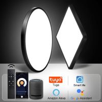 Smart Wifi LED Ceiling Lights Ultrathin Tuya App Alexa/Google Remote Control Panel Indoor Lamp For Bedroom Living Room Kitchen