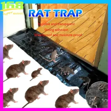 Mouse Rat Glue Trap Jumbo Size 120gram