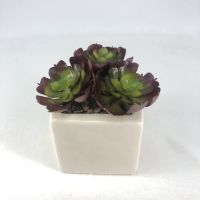 พืชปลอม SET 3 หัว 70 บาท ( เฉพาะต้นพืช 3 ต้นไม่รวมกระถาง ) small burgundy  ผักกาดซ้อน Succulent plant head จัดสวนจิ๋ว สวนถาด