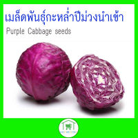 เมล็ดพันธุ์กะหล่ำปีม่วงนำเข้า (Purple Cabbage seeds)