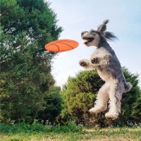 〖Love pets〗 Pet Dog Flying Disc Toy Dog Plush Toy Puppy Sound Squeaky Toy Bite Resistant Chew Interactive Training For Meduim Pet Supplies