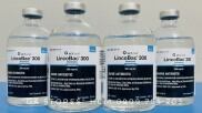 VETone LincoBacTM 300 - Nguyên seal USAChai 100ml