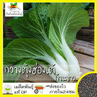 เมล็ดพันธุ์ กวางตุ้งฮ่องเต้ ก้านขาว 500 เมล็ด Canton Pak Choi Seed เมล็ดพันธุ์แท้100% นำเข้าจากต่างประเทศ กวางตุ้ง ถูกดี