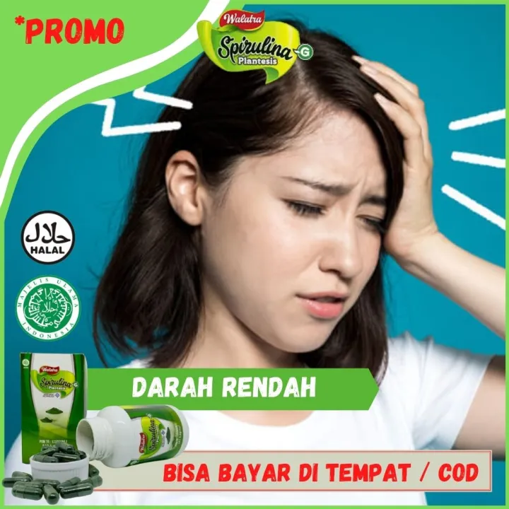 Obat Herbal Untuk Penyakit Anemia Berat, Jamu Kekurangan Sel Darah Merah, Putih, Trombosit